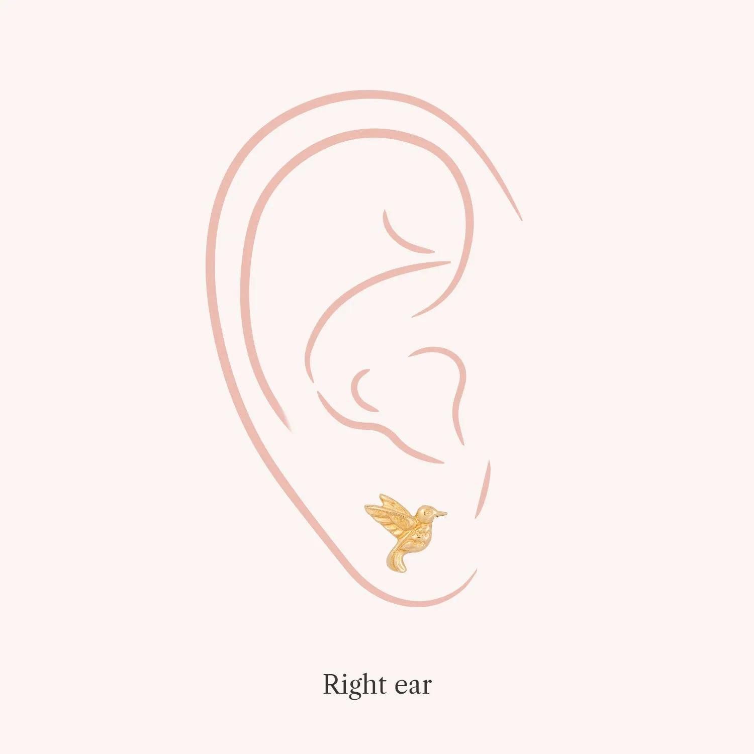 14K Solid Gold Single Hummingbird Flat Back Earring