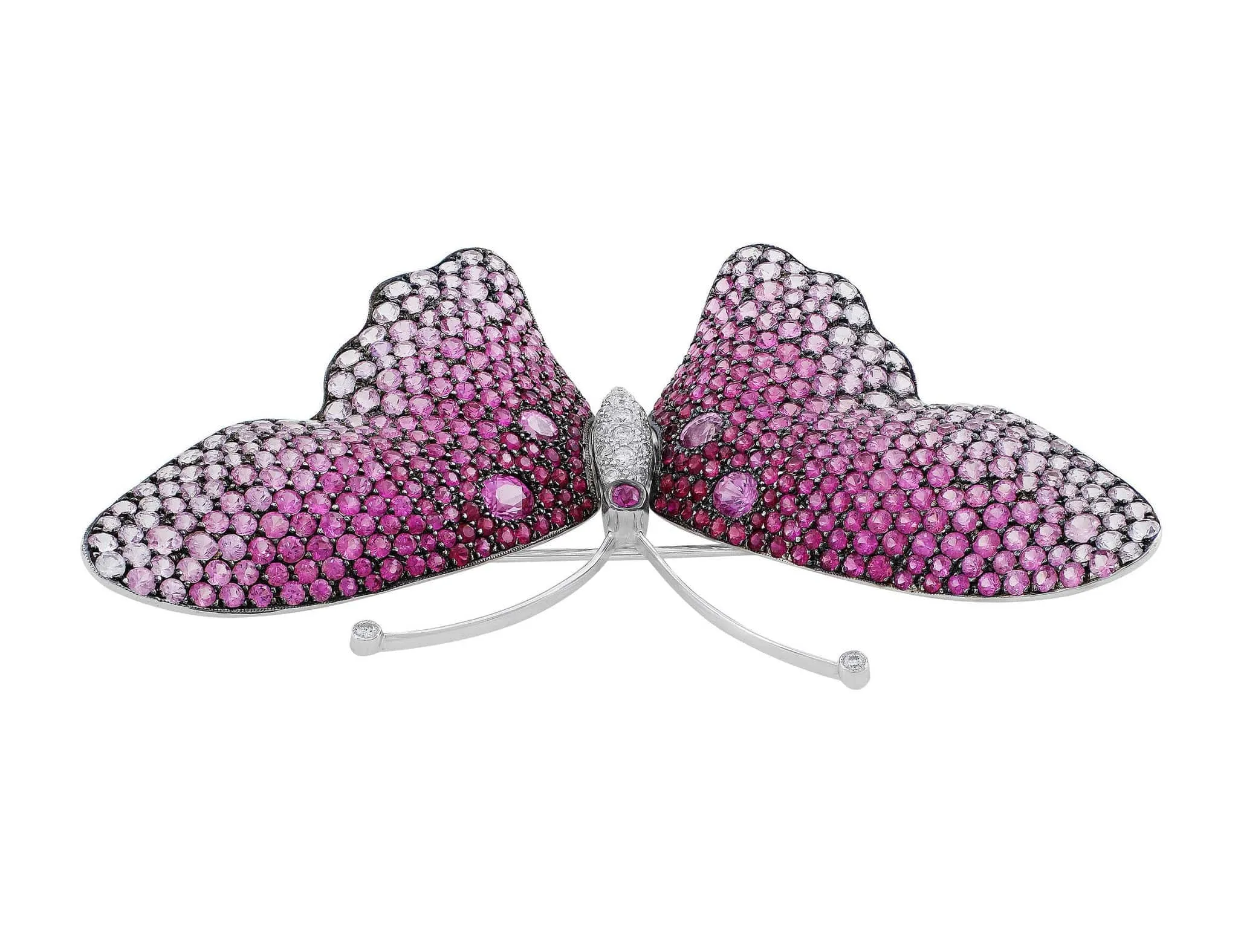 18k White Gold Pink Sapphire Butterfly Pin