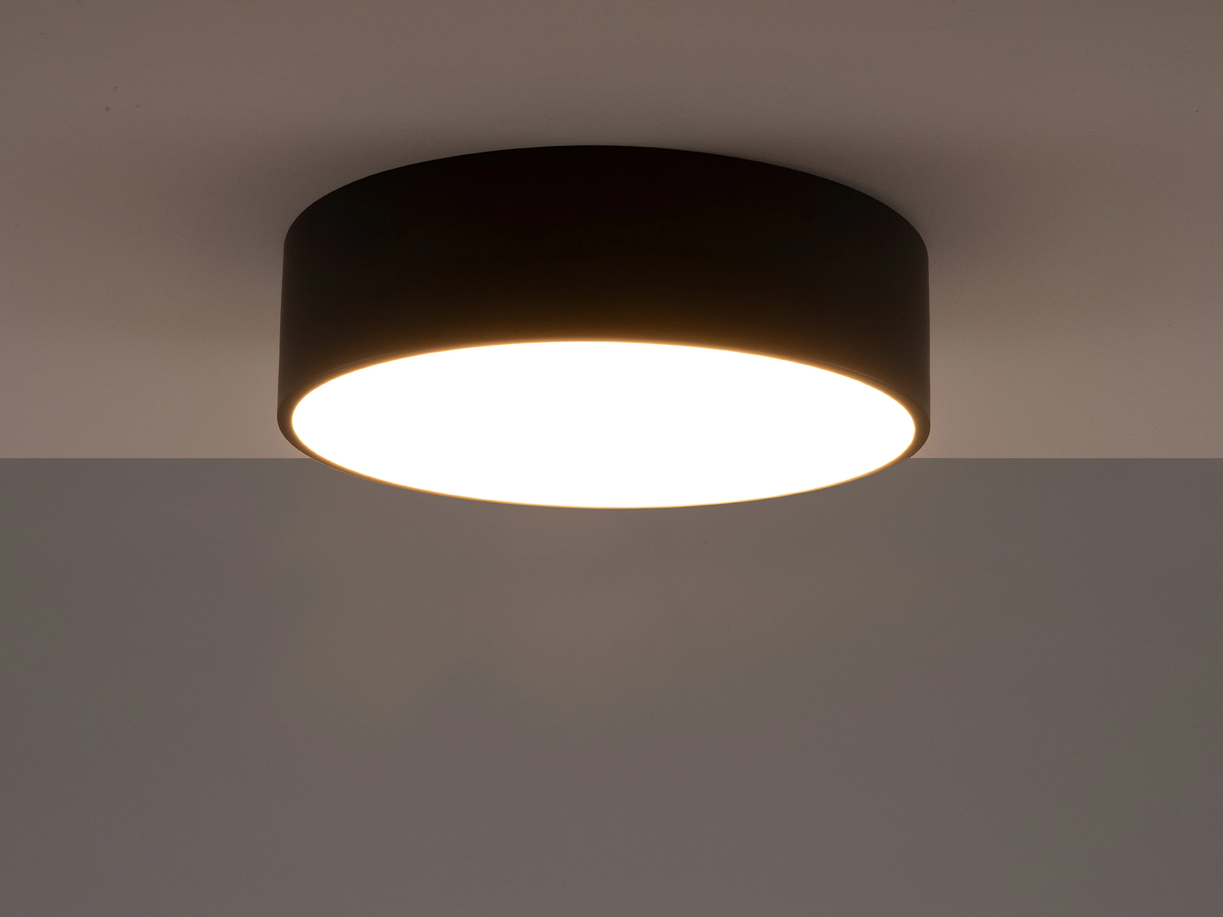 Charcoal grey diffuser flush ceiling light