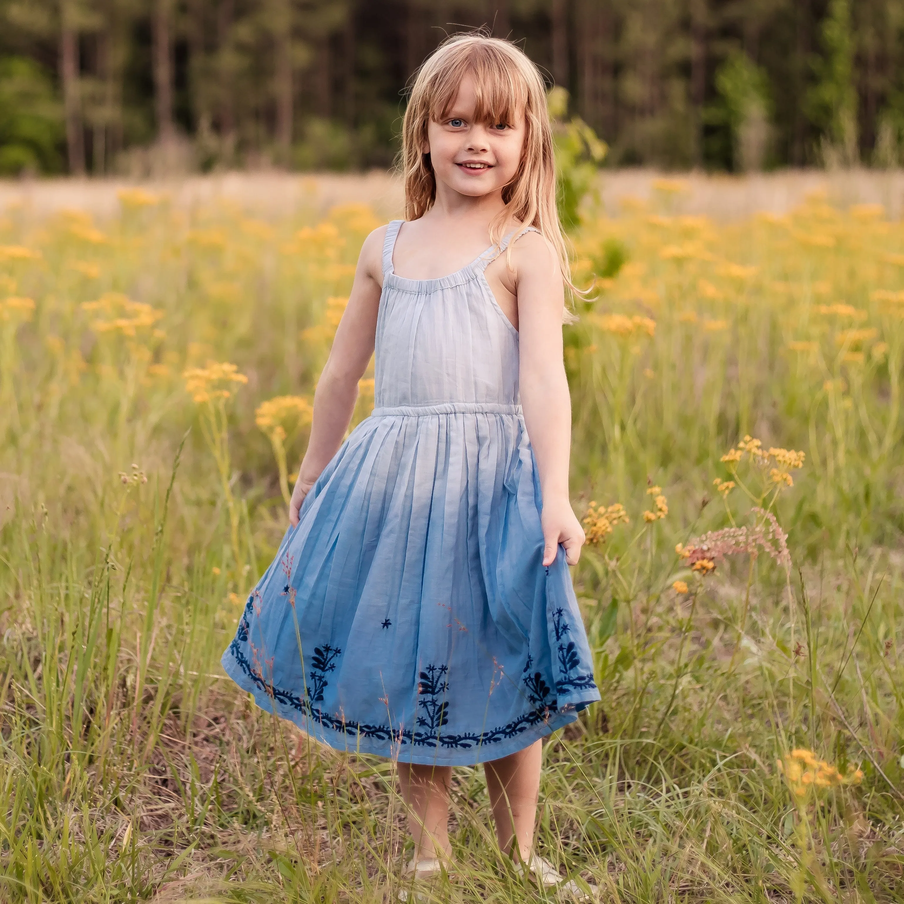 leila dress in blue