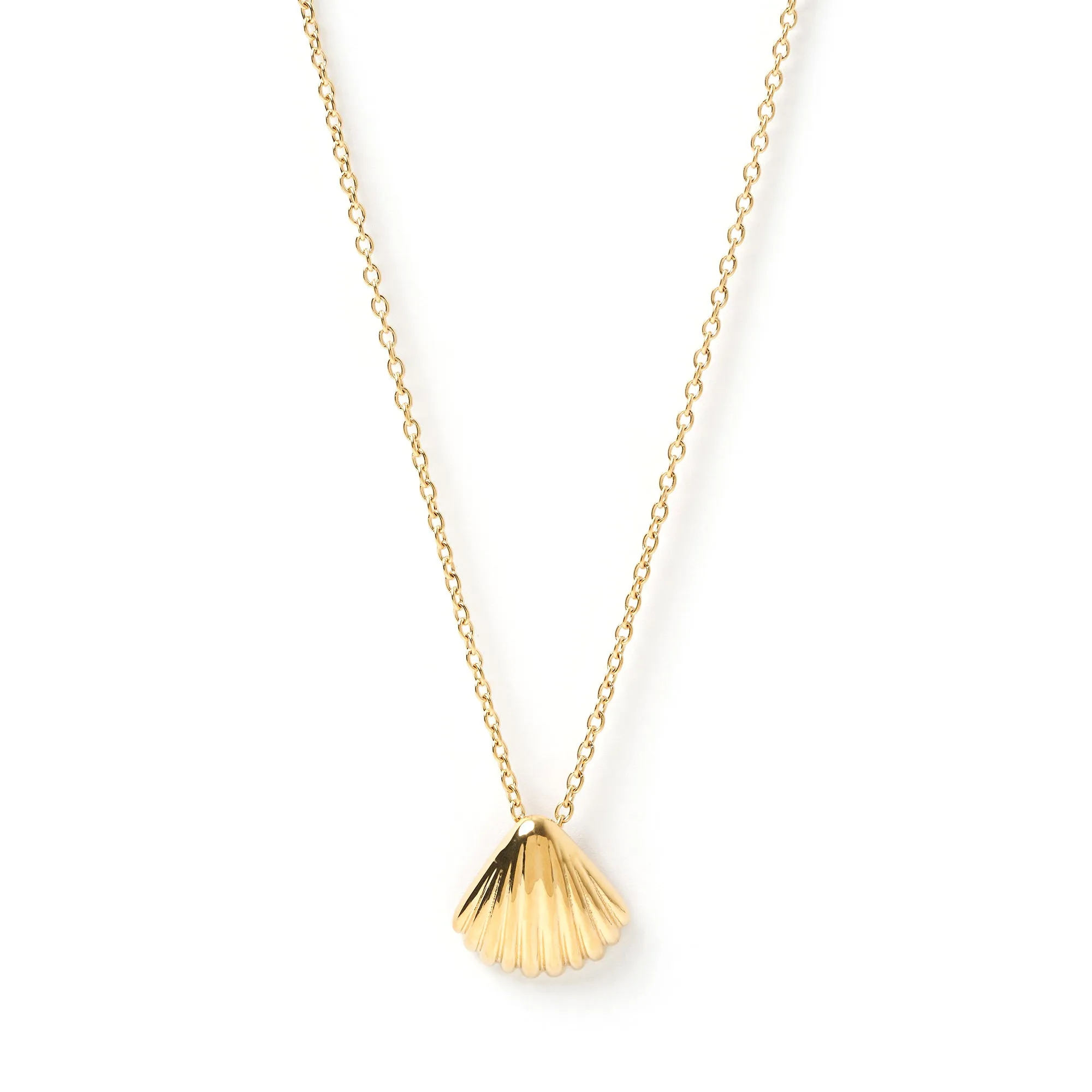 Perla Gold Shell Necklace