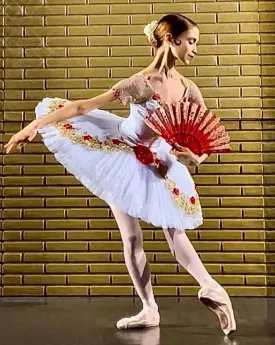 #TT990 Stunning Pre-Professional Classical Pancake Tutu